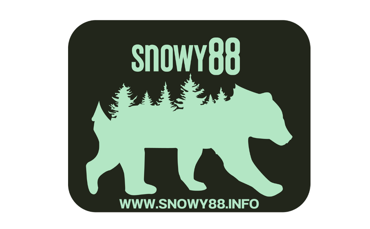 snowy88.info